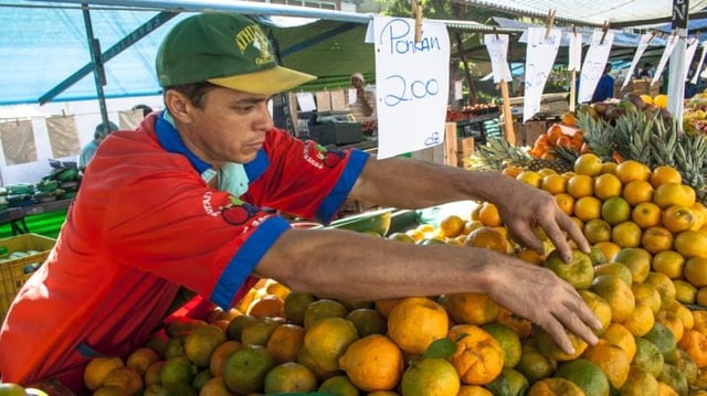 Feira