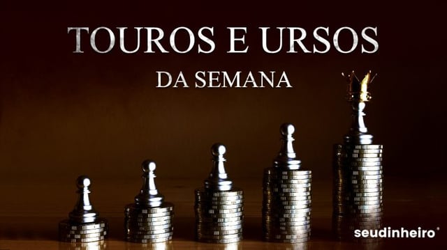 Touros e Ursos CAPA