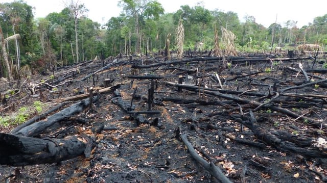 Queimadas na Amazônia