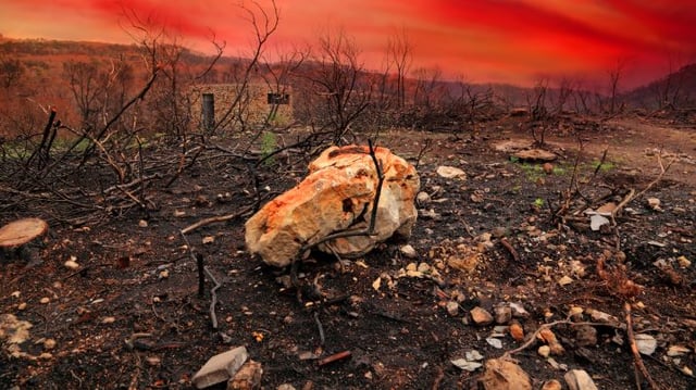 Terra arrasada bolsa Ibovespa mercados