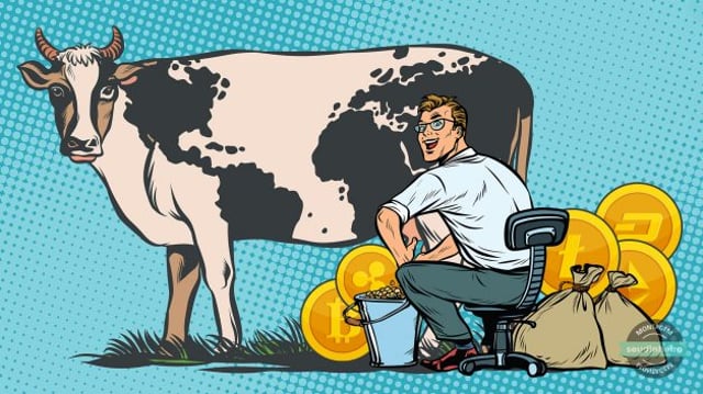 Crypto Vaca Leiteira Criptomoedas Cripto