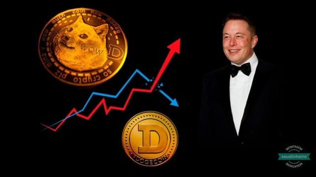 Elon Musk DogeCoin Gráfico