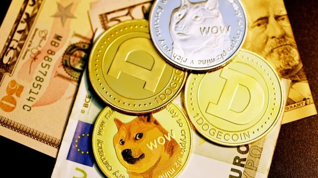 A Shiba Inu se tornou uma das criptomoedas mais valiosas do mundo, mas para André Franco não passa de uma fraude; confira a lista de 16 criptomoedas que realmente valem a pena