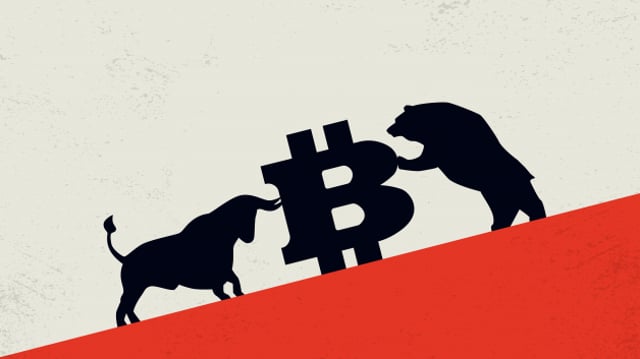 bitcoin sendo empurrado por um urso e por um touro
