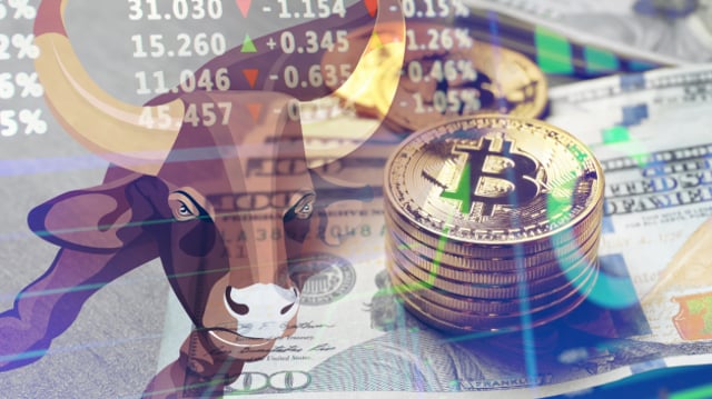 bitcoin, dólar e touro do bull market