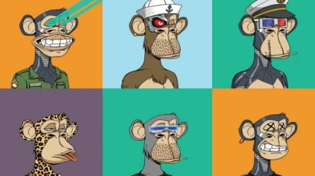 Seis ilustrações de macacos com fundos coloridos