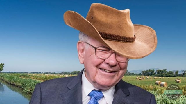 Warren Buffet Chapéu Cowboy Agro – Créditos Shutterstock e Envato