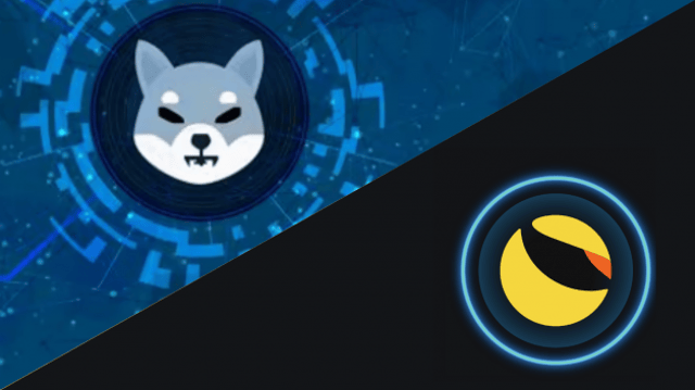 Shiba Inu (SHIB) pretende lançar stablecoin em meio a derretimento da Terra (LUNA)