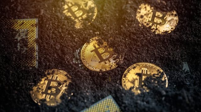 Várias moedas de Bitcoin sendo enterradas