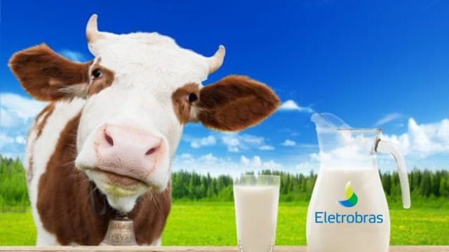 vaca leiteira dividendos eletrobras
