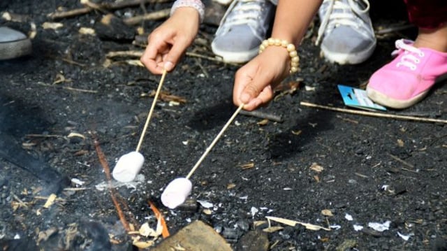 Crianças assando marshmallows