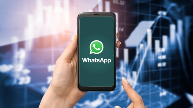 curso gratuito de investimentos whatsapp