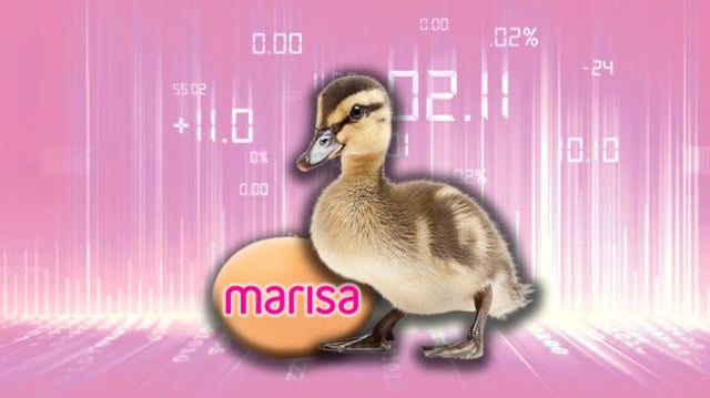 Patinho com um ovo e gráfico ao fundo. No ovo, a logo da Lojas Marisa (AMAR3)