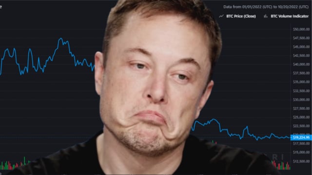 Elon Musk vê queda no preço do bitcoin; Tesla ainda possui cerca de US$ 218 milhões em BTC