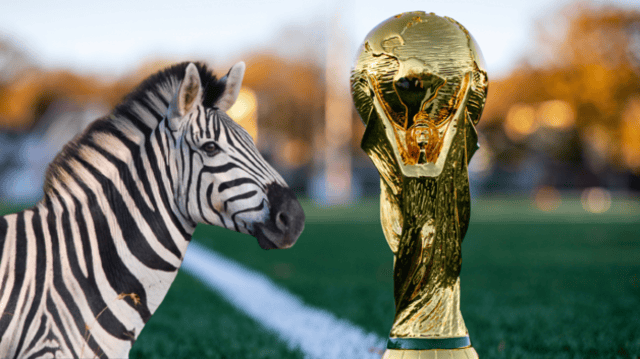 Taça, troféu, copa do mundo, futebol, zebra