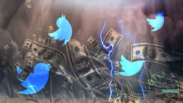 Twitter dinheiro ameaça tempestade – créditos Shutterstock-Wikimedia – montagem Brenda Silva SD (1)