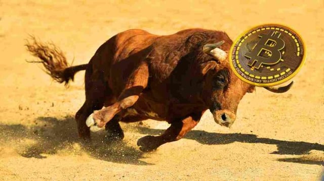 Os touros voltaram ao mercado de criptomoedas e ao bitcoin (BTC)