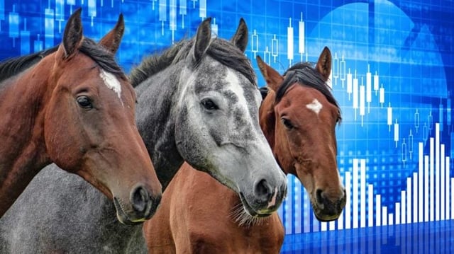 principais cavalos para 2024 ações bolsa ibovespa