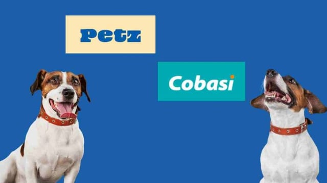 Fusão de Cobasi com Petz. Montagem com dois cachorros felizes