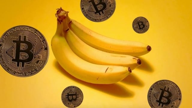 bitcoin zona da banana