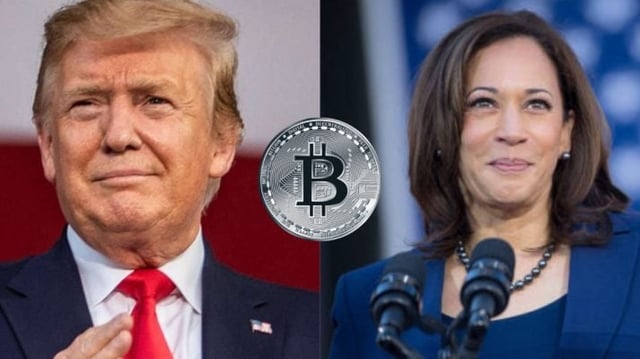 Trump Kamala Harris Criptomoedas Bitcoin