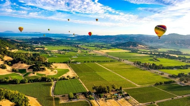 Napa Valley: o destino incontornável do vinho americano (i