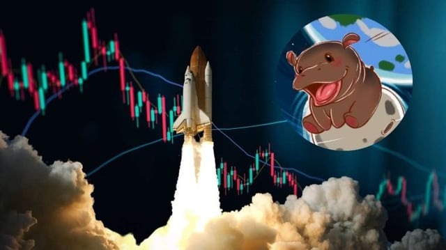memecoins-moo-deng-criptomoedas-rali-alta