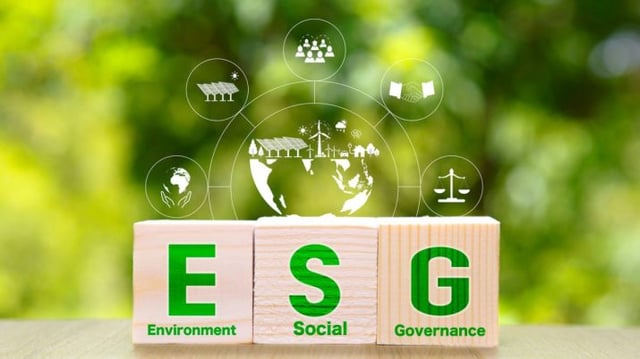 fundos ESG investimento sustentável