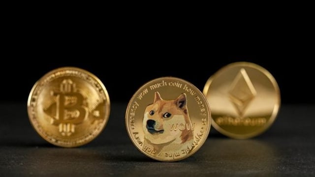 memecoin doge coin criptomoedas