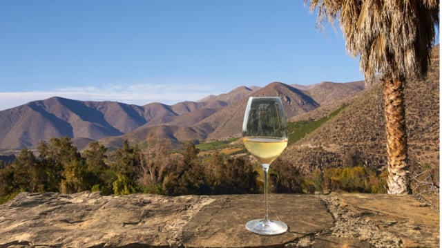Solo e condições climáticas fizeram deste Chardonnay o Vinho Branco de 2025 em report renomado