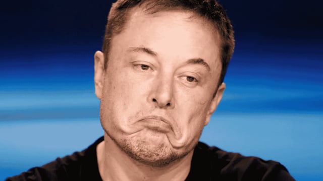 Imagem de Musk fazendo cara de triste.