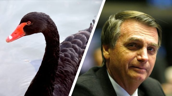 Bolsonaro – Cisne Negro