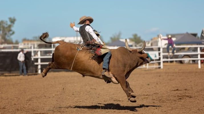 Foto de um homem montado num touro num rodeio