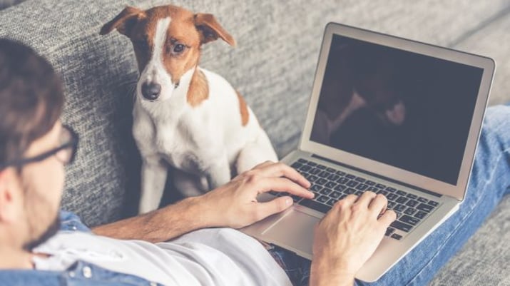 Homem mexe no computador no sofá com o cachorro