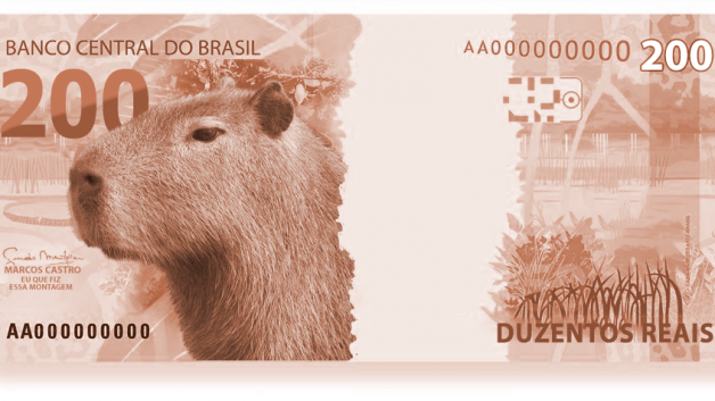 Há melhor amigo que uma capivara? : r/brasil