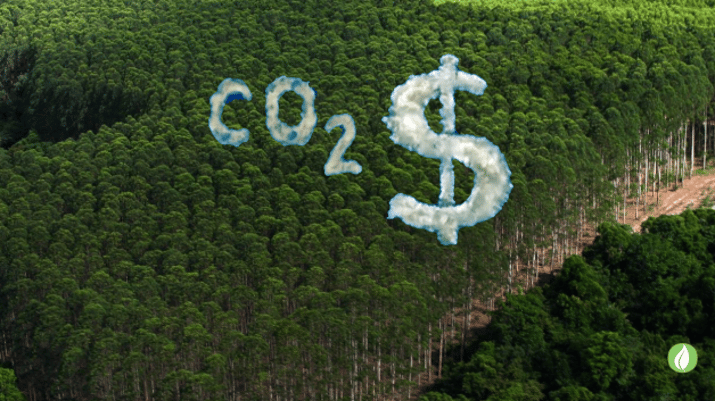 credito_carbono