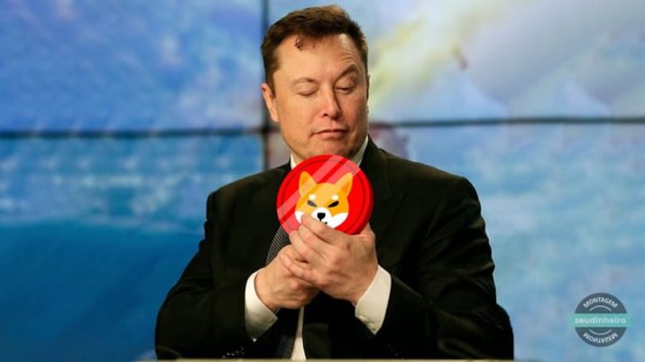 Montagem de Elon Musk olhando para criptomoeda Shiba Inu que está segurando em sua mão