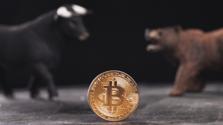bull market x bear market: quem leva a melhor para o bitcoin