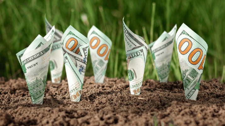 Imagem com notas de dólar plantadas na terra, representando o potencial de crescimento dos dividendos ações