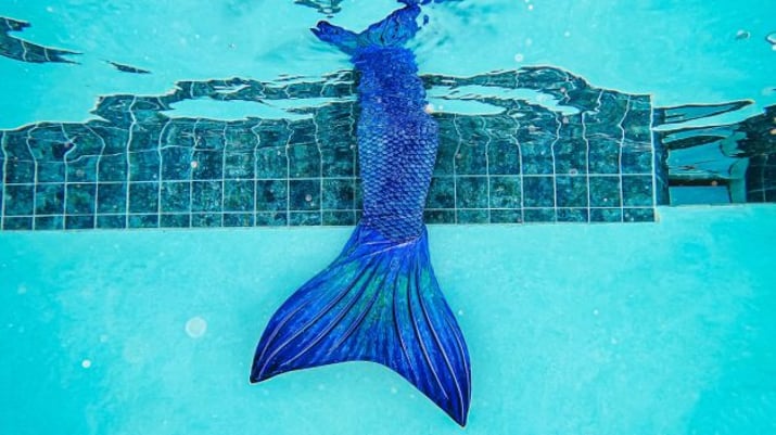 Montagem da cauda azul de uma sereia em uma piscina | Ibovespa