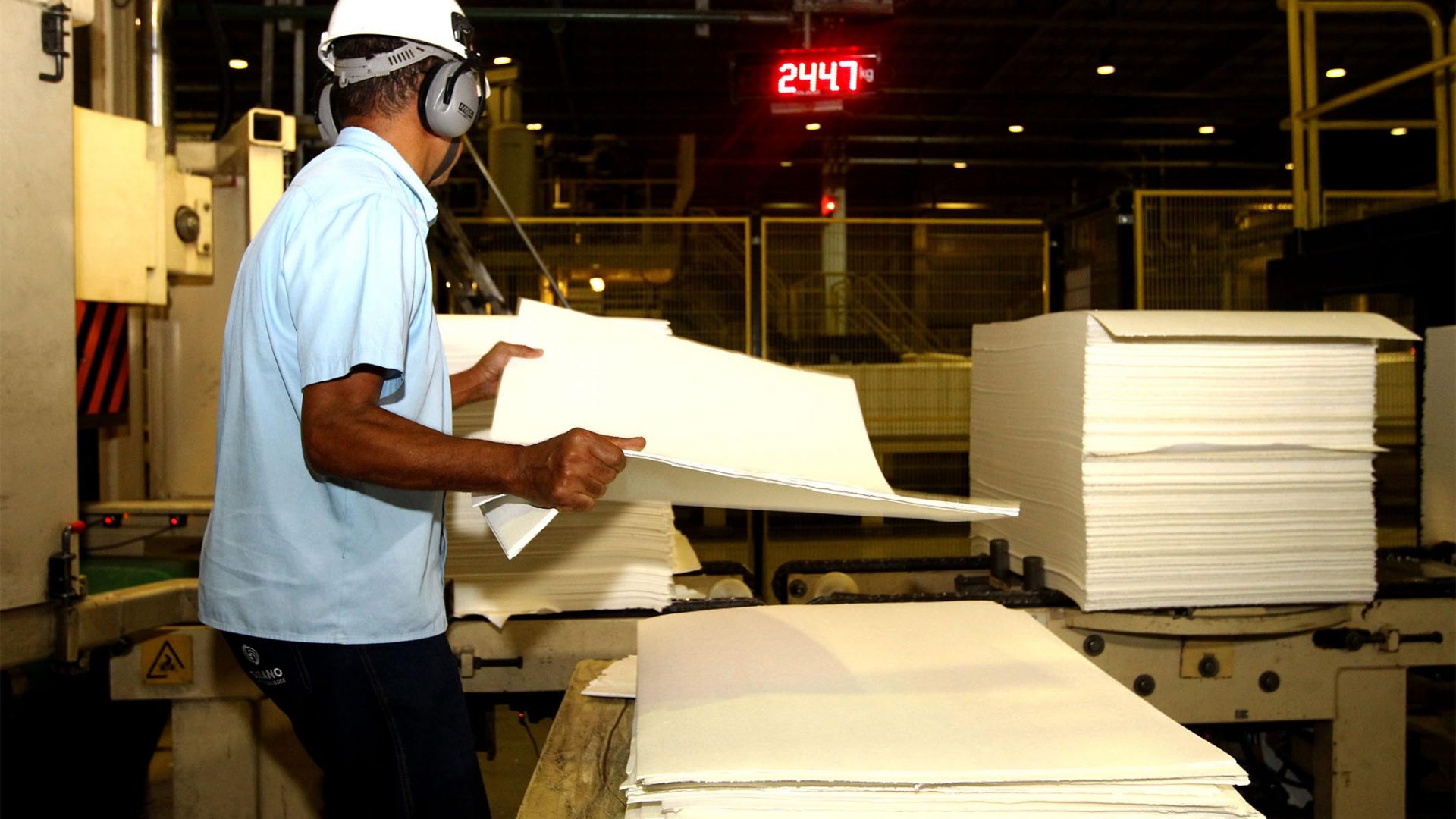 Suzano Papel e Celulose