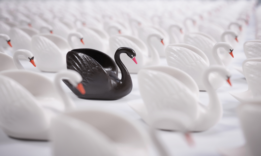 Cisne Negro