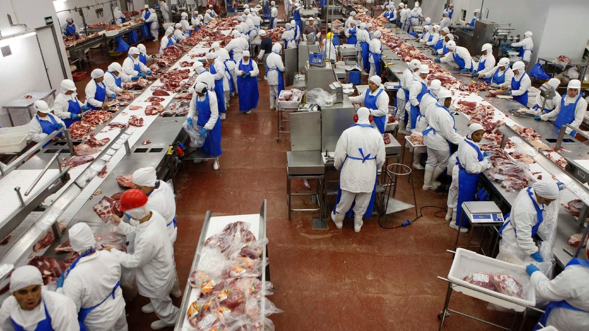 Frigorífico Marfrig JBS BRF carne