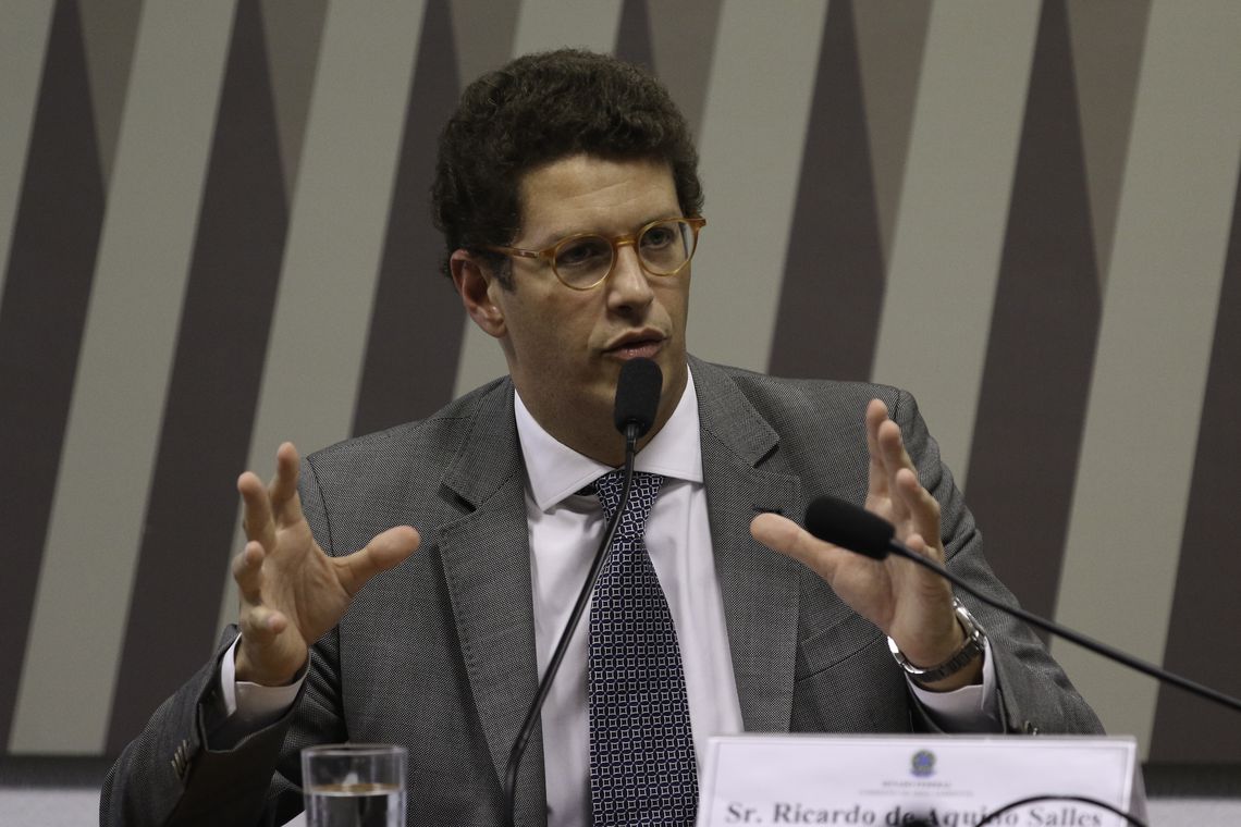 Ricardo Salles