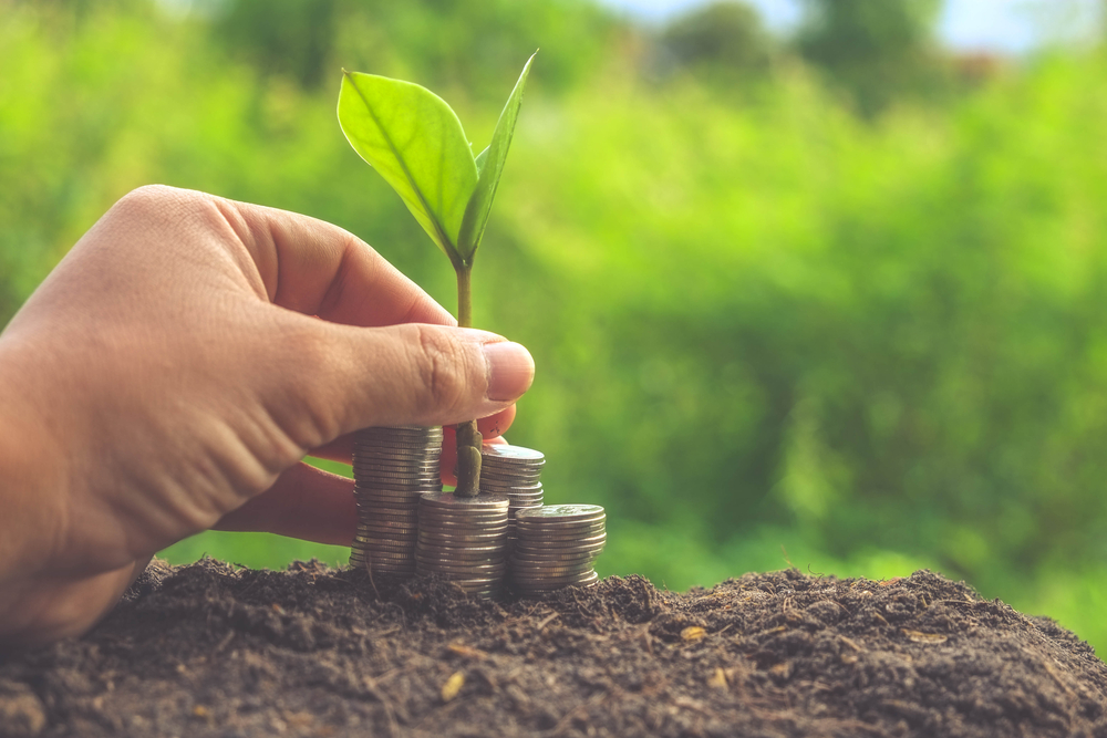 Homem 'planta' moedas sobre a terra