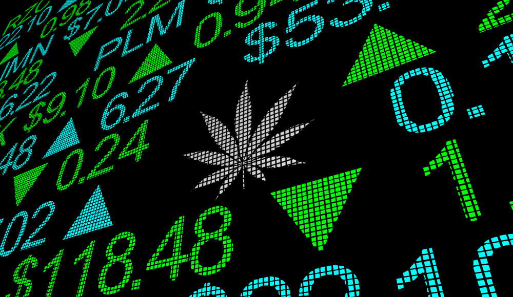 Maconha bolsa