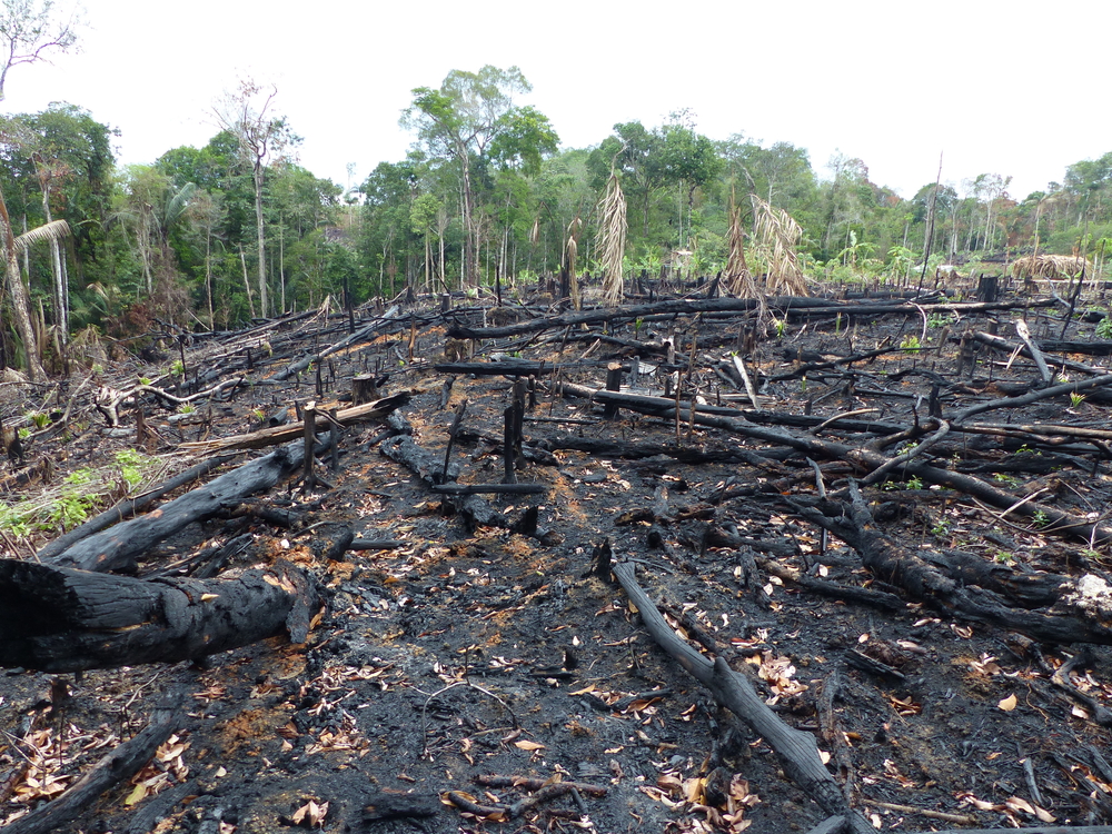 Queimadas na Amazônia