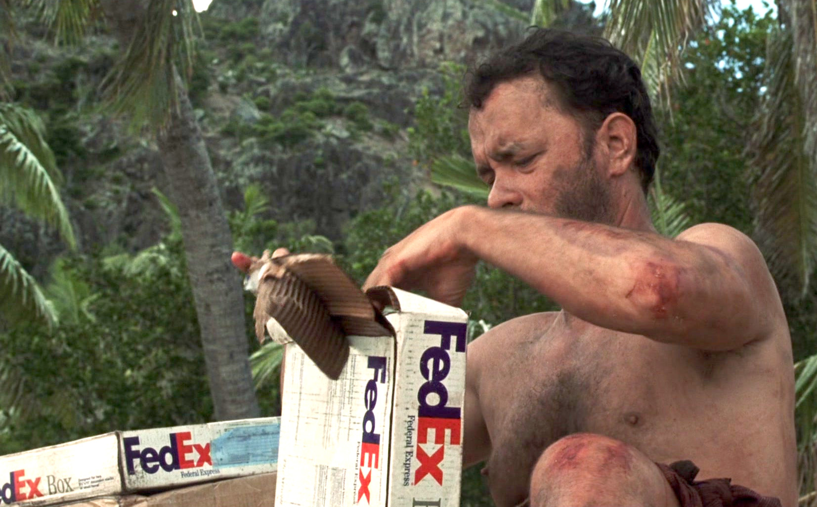 FedEx Tom Hanks