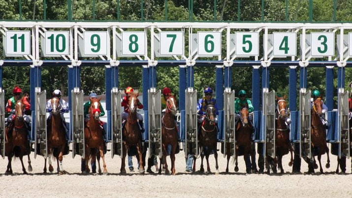 Cavalos de corrida enfileirados para a largada