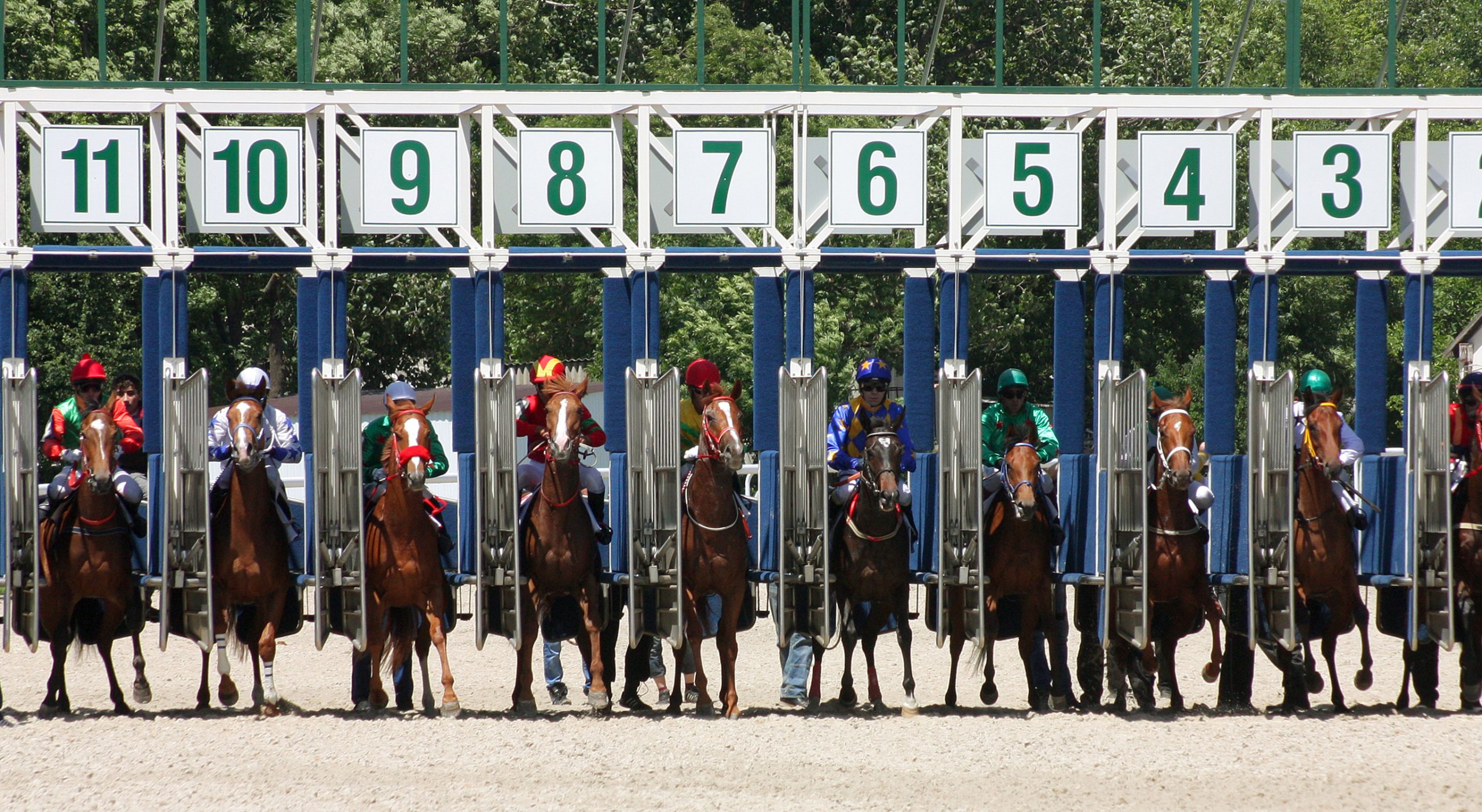 Cavalos de corrida enfileirados para a largada